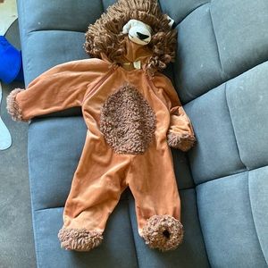 Warm Lion Costume